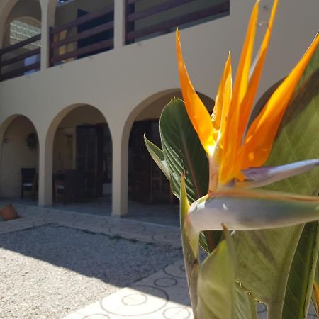Santo Quintal Hostel 우바투바 외부 사진